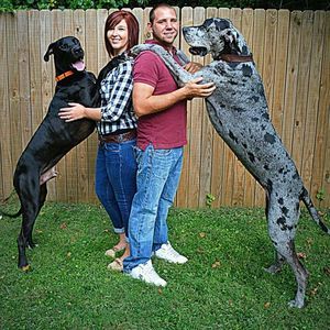 Meet your Posher, Brittany